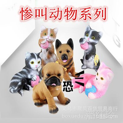 ̯  ɰ ˸ַйҽ˯è վè