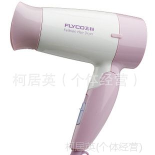 Flyco/ɿFH6205 ***Ʒ 紵 ۵ ȷ1000W