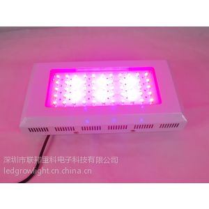 供应国内***的温室大棚蔬菜植物补光灯大功率厂家 100W
