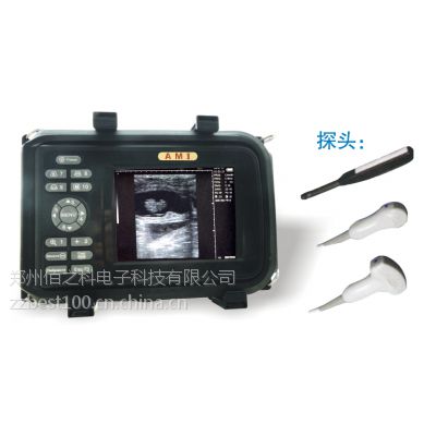 佰之科动物B超牛羊专用牛用B超AMI-E6/6.5MHz頻直肠探头
