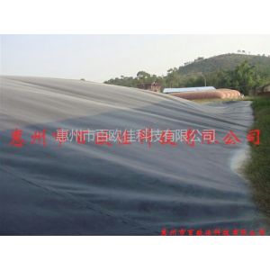 ӦĤbiogas