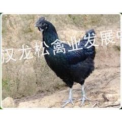 ӦȫʵڹǼ ڼ  ׷ ˿ë