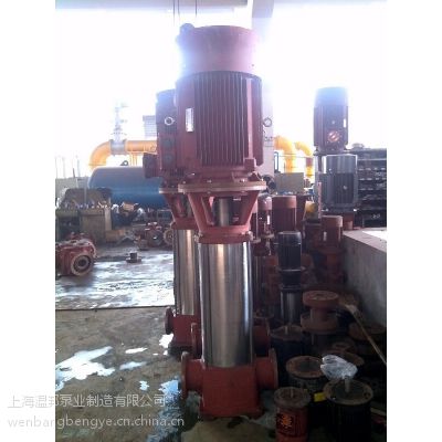 50GDL18-15x2-3kw立式多级泵 离心泵 沈阳水泵