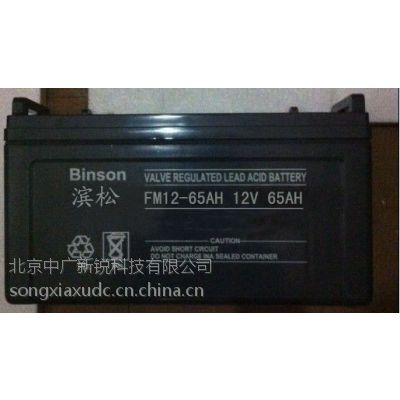 Ӧ̫ԭ12V100AHֻ