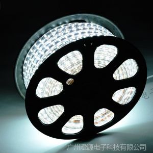 供应台湾晶元led灯带/高压led灯带220V led灯带/单色和彩色都有