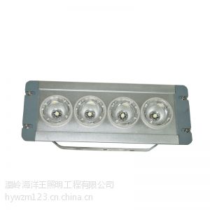 供应海洋王NFC9121应急顶灯NFC9121,NFC9121