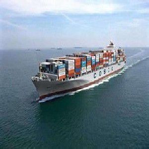厦门可靠的出口海运代理公司推荐|出口整箱海运代理价格