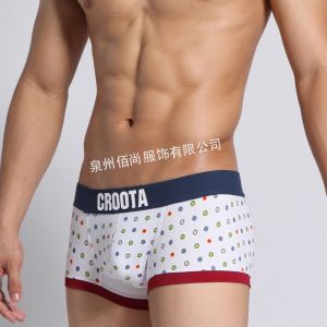 ӦCROOTAʿڿ ʿƽڿ ʱаɫԲ㴿ڿ