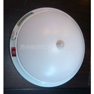 供應(yīng)蘇州振輝應(yīng)急燈 紅外感應(yīng)吸頂燈 消防急吸頂燈