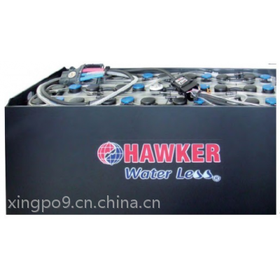 HAWKER˲泵48V-300AH