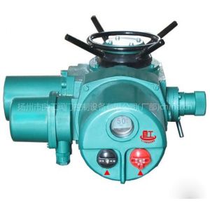 供应电动装置DZW120-24，DZW120-24-A00-WK，DZW120-24-A00-WT