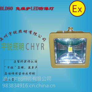 供应CK-BLD80免维护节能LED防爆灯，CK-BLD80，LED防爆灯具，