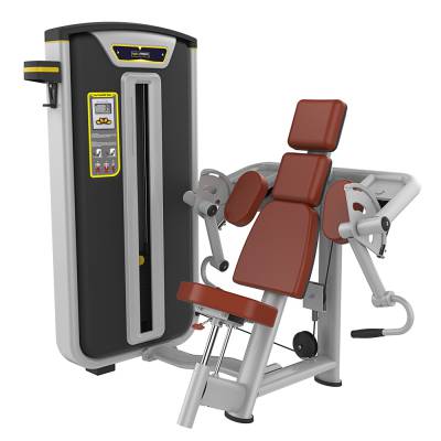 宝德龙BS-006 二头肌训练器商用健身器材力量训练单位室内综合训练器械厂家直销