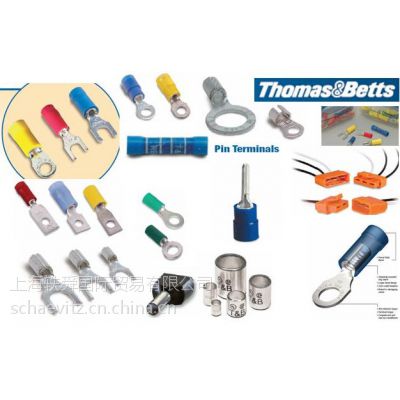 ӦTHOMAS & BETTSTHOMAS & BETTSѹ