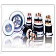 Ӧ10KV  ѹо YJV22 3*50 걣