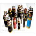 Ӧ15KV ѹо YJV62 1*630 걣