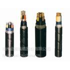 Ӧ20KV ѹо YJV62 1*400 걣
