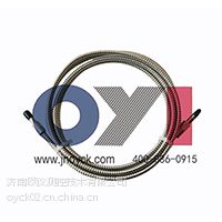 供应适用于DURAG火检光纤欧仪测控火检光纤YXD700系列
