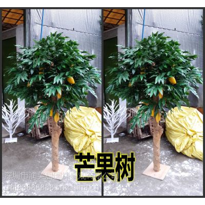 供应室内外***仿真芒果树 仿真芒果树 逼真效果装饰