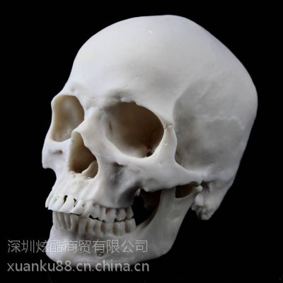 ӦſóֱʥھƷ֬ 绰18681436390 QQ2479662327