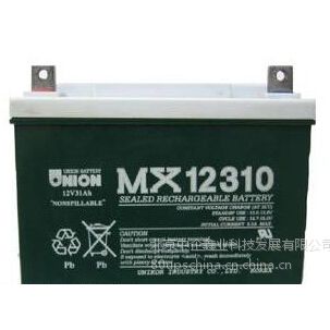 ӦMX12310Ӧ-