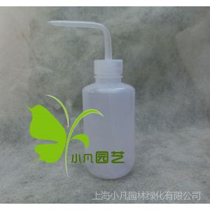 供應(yīng)多肉水壺 彎嘴澆水壺250ML 噴壺 灑水壺 澆水利器