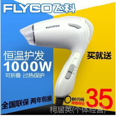 Flyco/ɿ FH6215 »紵 1000W