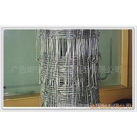 草原网，镀锌牛栏网，宝誉厂家直销
