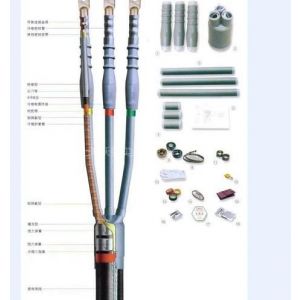Ӧ10KV¸ ն˵¸ ¸ ֱ