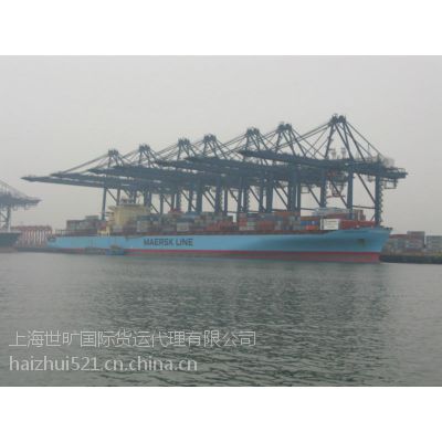 澳大利亚贝尔湾到上海进口海运拼箱整柜专线