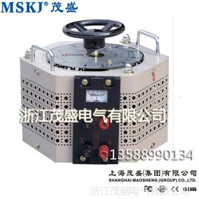 ͵ѹTDGC2J-5KVA  0-300Vɵ ʱ1꡿