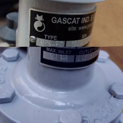 Instromet IPSжϷGASCAT GIPS-FCȼжϷS100ضϷ