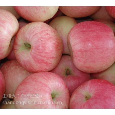 山东红富士苹果75以上纸袋红富士苹果价格