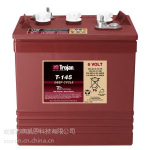 TROJAN T-145电池扫地车电瓶 观光车电池