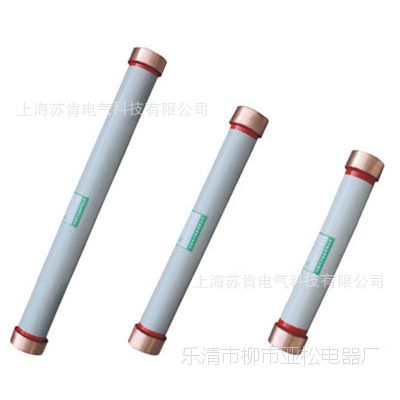 ڸѹ۶RN1-35KV