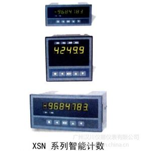 供应XSN/A-H智能计数器【厂家】XSN/A-H智能计数器价格|产品说明书