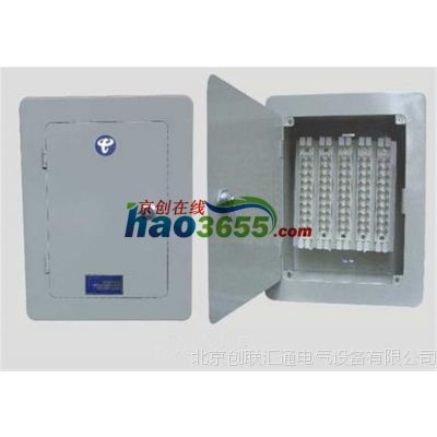 XFQ-98 60-100对电话分线箱分线盒/弱电箱