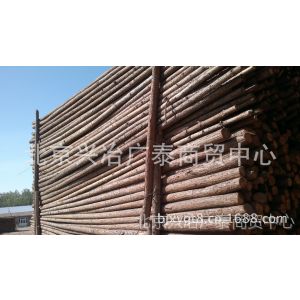 供应天津杉木杆批发1 2 3 4 5 6 7 8米杉木杆电线防护 景观绿化