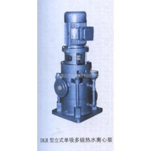 供应单吸多级立式离心泵（DLR）