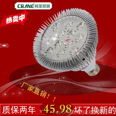 供应直销led小灯杯 节能射灯大功率照明家用灯 12we27灯泡光源扩散灯