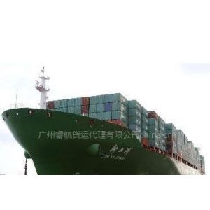 供应东莞到福建泉州海运物流集装箱运输往返门到门服务