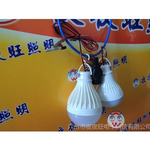 供应厂销12v蓄电池用照明灯船车照明节能灯LED塑料球泡 地摊节能灯泡