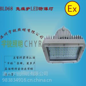 供应CK-BLD68免维护节能LED防爆灯