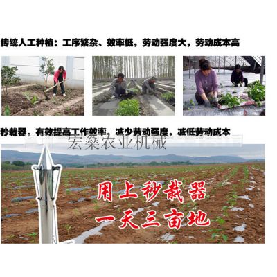 厂家直销移苗器 不锈钢栽苗器 烟草蔬菜种植器 点播器