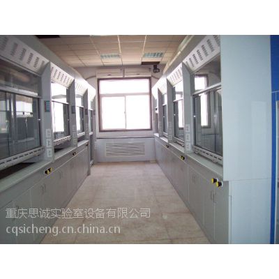 重庆通风柜/九龙坡实验室通风家具/沙坪坝实验室通风橱