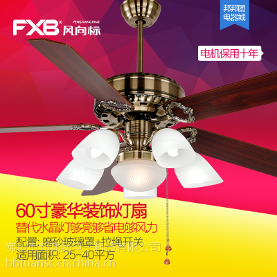 Ʒ60Ƶͥ¹ŵȵ60-FXB217