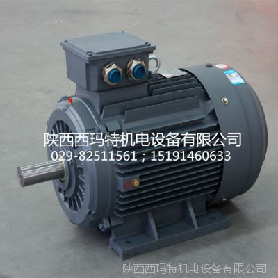 西安西玛高效节能电机 YE2-132M1-6 4KW IP55 F级 泰富西玛电机