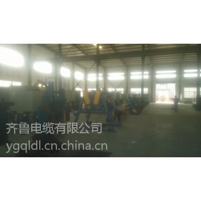 Ӧ³ͭ߶оϾԵȲ׵ZRYJVR-C 1*400