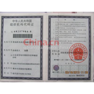 组织机构代码真