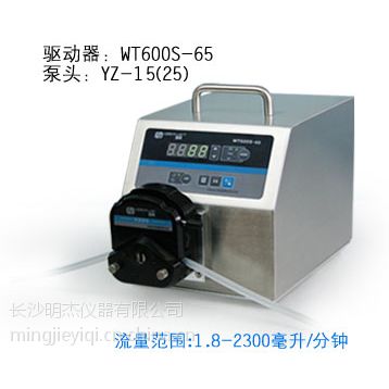 Ӧɳ׸WT600S-65䶯